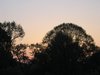 sunrise silhouette