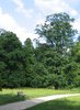 parkway
