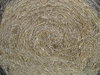 hay bale