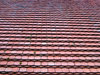 beaver's tails roof tiles