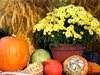 thanksgiving arrangement 2