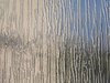 rippled glass texture
