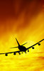 Airplane sunset illustration