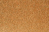 Sandpaper Texture