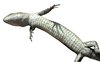 Newt bottom