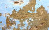 Urban Decay