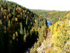 Forest, sky and water