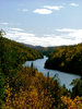 Forest, sky and water