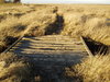 A little bridge in the middle 