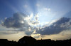 sunburst