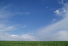 green and blue
