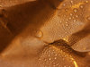 Texture