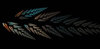 Fractal 24
