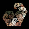 Fractal 5