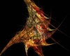 Fractal 14