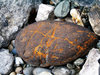 Stones 7