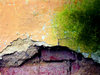 Texture 4