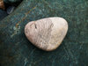 Stones 2