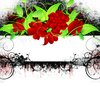 Grunge Rose Frame
