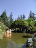 the garden