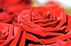Love is red 1