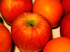 Cross Processed Fruit