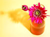 Flower Juice!