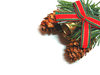 Pine Cones