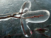 Ice sculptures
