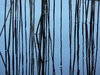 Straws