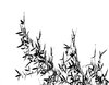 Bamboo Leaves and Branches