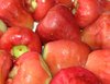 Fresh Waxapples