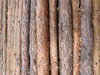 Wood texture