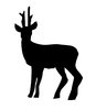 Deer silhouette