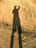 :::shadow:::