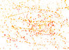 orange ink