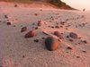 Stones 1