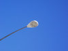 Street lightpost