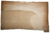 Torn Cardboard on white backgr