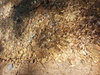 stones under water