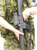 Fire Arms