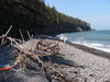 Colored Driftwood