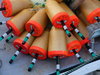 Lobster Trap Markers