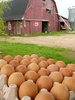Farm Fresh Eggs