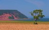 Cape Blomidon