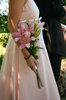 Bride's Maid
