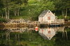 Lobster Traps n shack