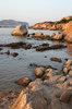 Shoreline 3