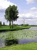 Chimneys in the park