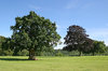 Parkland